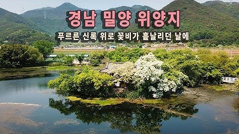 [Sketch] 경남 밀양 위양지 여행 / 밀양 이팝나무, 봄꽃여행, 5월여행지, 밀양여행, 국내여행지, 국내여행지 추천