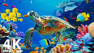 Ocean 4K - Beautiful Coral Reef Fish in Aquarium, Sea Animals for Relaxation (4K Video Ultra HD) #25