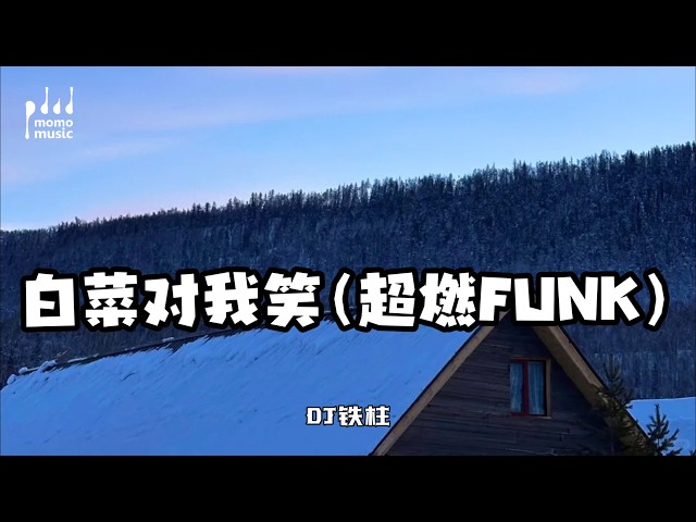 🔥 白菜对我笑(超燃FUNK)-DJ铁柱 #必听热门歌曲 #新歌更新 #流行音樂 #纯音乐