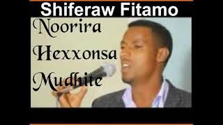 Shiferaw Fitamo ||Noorira Hexxonsa Mudhite|| Sidamigna mezmur 