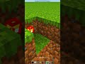Way to hide your Diamonds - Minecraft #shorts #minecraft