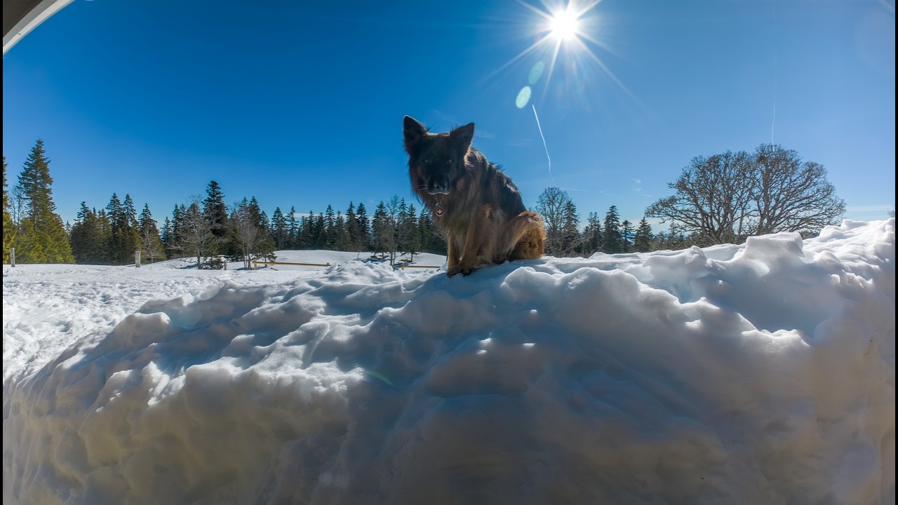 Balade à raquettes au Pré de Rolle