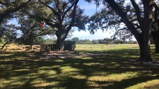 Celebrity RANDY DEWITT Live Stream Net Worth