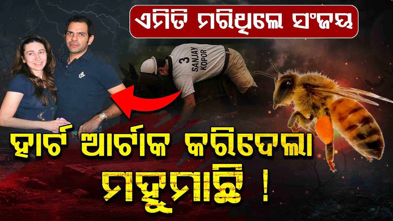 Be careful Of Honey Bee, It's too dangerous | Argus Digital Teapot