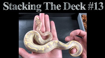 Stacking The Deck #13 - Super, Thanks For Asking