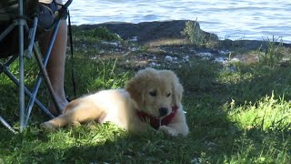 |MINI VLOG#1| - WINDY DAY BY THE SEA