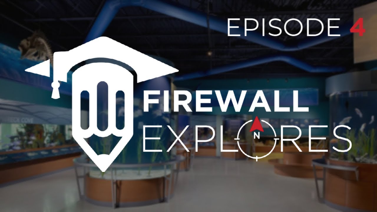 Firewall Explores the South Florida Science Center & AQUARIUM YouTube