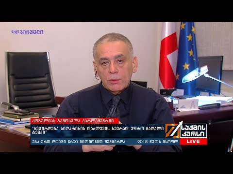 ქობულიას გამოსვლა პარლამენტში - რომან კაკულია საქმის კურსში