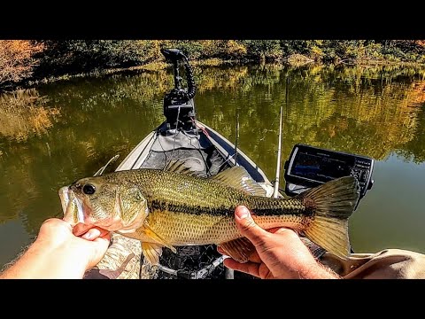 Fall bass fishing after hurricane Helene