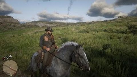 Red Dead Redemption 2 best random encounter