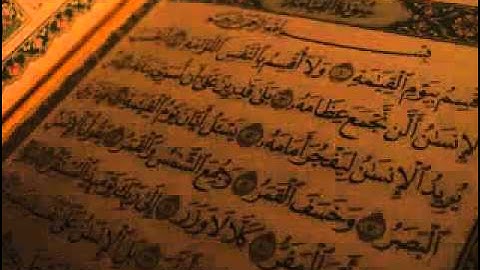 اجمل تلاوة للشيخ الصغير محمد البراك سورة القيامة