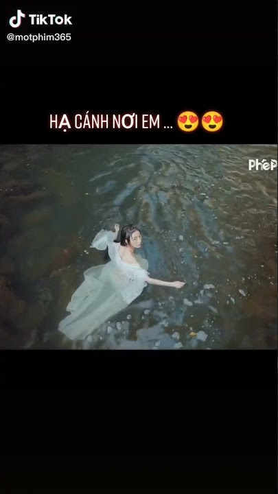 I Love You - Kevin Rater ( Tiktok) Úi Zồi Ôi || Trình Vi Cá