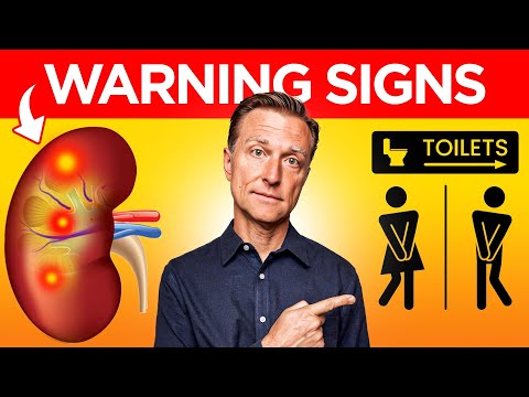 Recognizing The Signs Of Kidney Disease: What You Need To Know