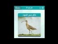 حل لغز طائر حسن الصوت لعبة الكلمات متقاطعة حل لغز طائر حسن الصوت لعبة الكلمات متقاطعة