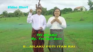 Download Lagu TEI AILAKU By.Yos Suri Bere#viralvideo #editor yossuribere#shortyossuribere MP3