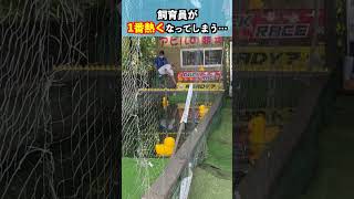 飼育員なのに熱くなってしまうアホ#shorts