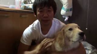 ブラウンでソフトな子とブルーパールで台所も掃除してみるぞ