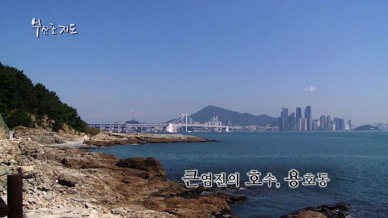 부산포 지도 27회 