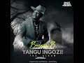 Beezman B - tinotamba irikurira - (Chipoko chaSauro )Yangu ingozi Album 2024-official audio