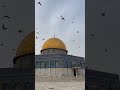 إلهي واسع الكرم ورب البيت والحرم مقاطع انستغرام قصيره