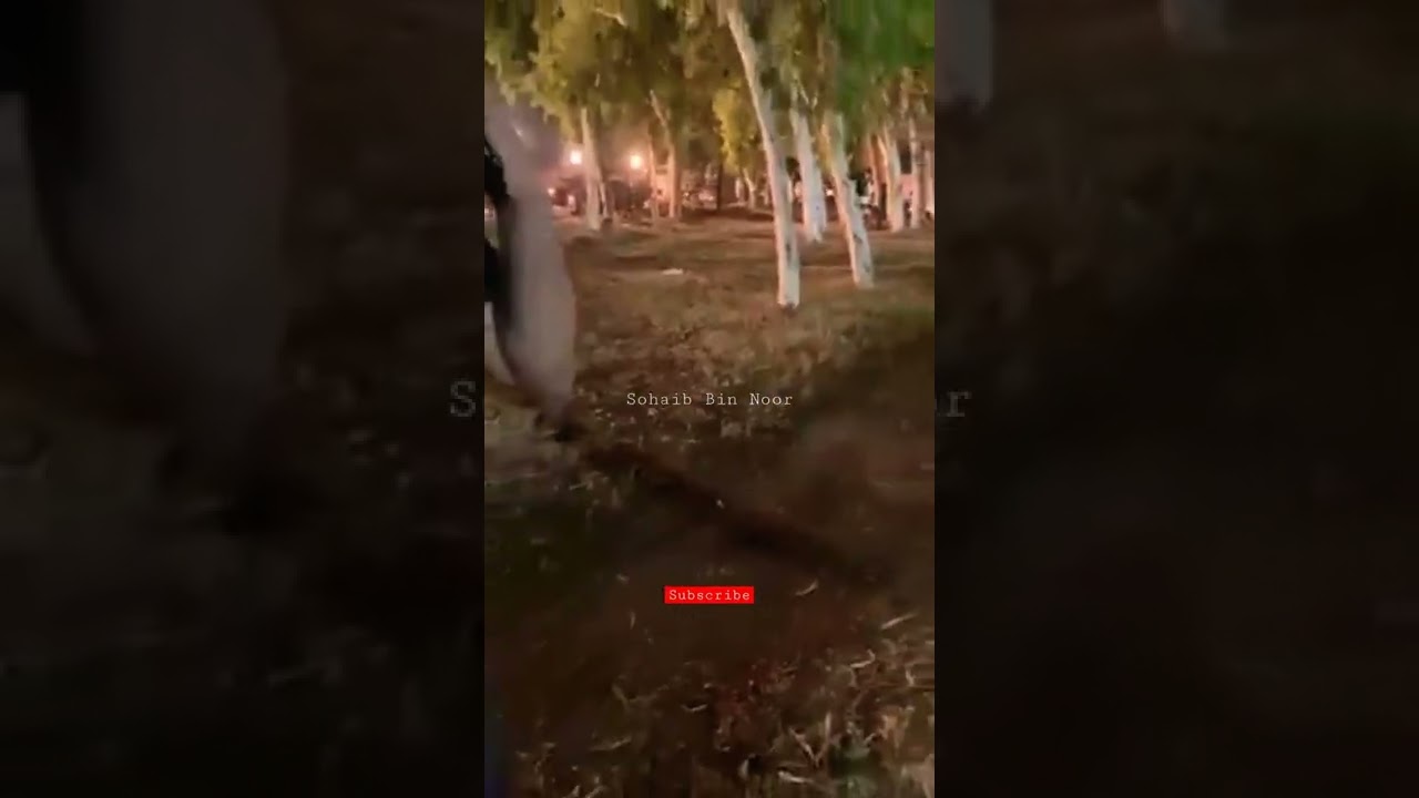 PML N Okara Jalsa | Jalsa | Fake Flooding | 