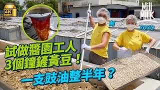 #MM｜挑戰做醬園工人直踩8個鐘整豉油 捱42度高溫煮豆 曬3個鐘鏟黃豆 一支傳統生曬豉油要整半年 直擊香港獨有頭抽製作過程｜#試一次 #4K