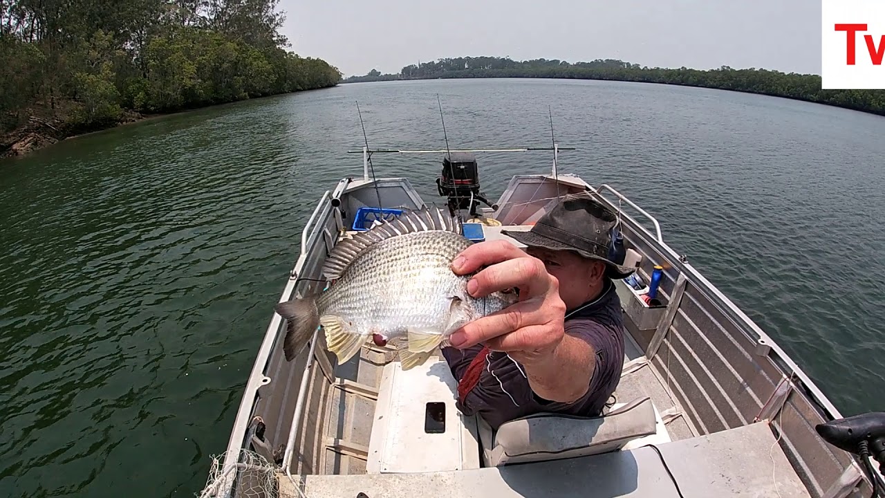 LOGAN RIVER FISHING - DECEMBER 2019 - YouTube