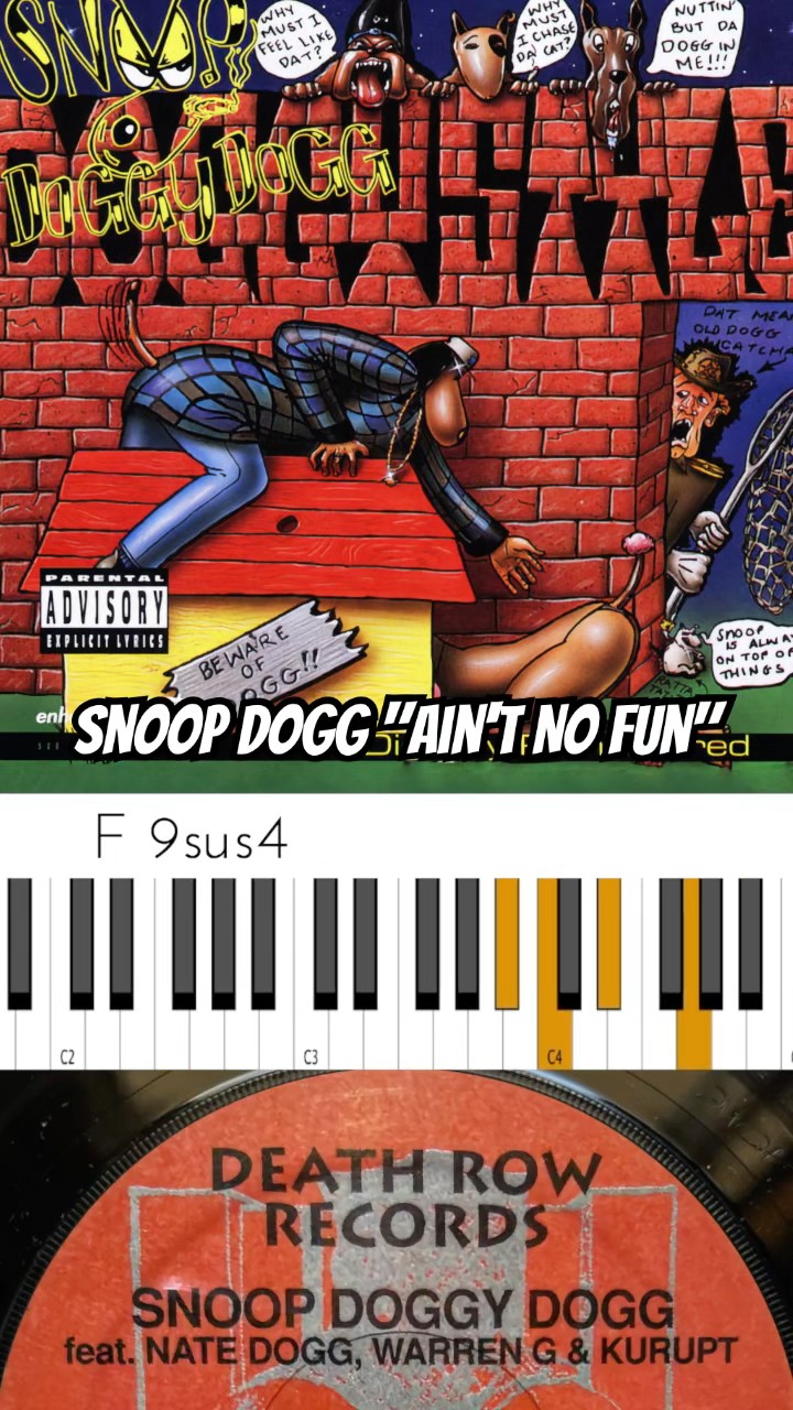 新品未開封 SNOOP DOGGY DOGG/AIN'T NO FUN レコード 【公式通販】