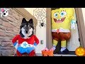 Kakoa's Pretend Play Halloween Trick or Treating!