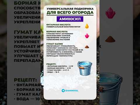 ЛУЧШАЯ подкормка для вашего ОГОРОДА?! #сад #садоводство #растения