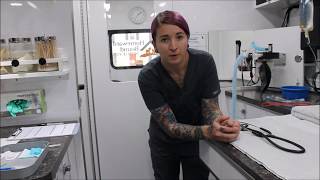 VETT 221 - Task 3 - Equipment and Supply Preparation Prior to Anesthetic Induction