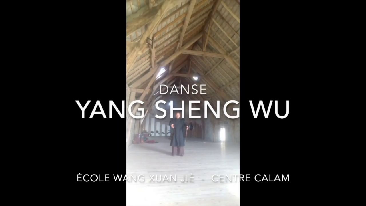 Yang Sheng Wu® - Danse Jianwu