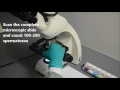 Video Image