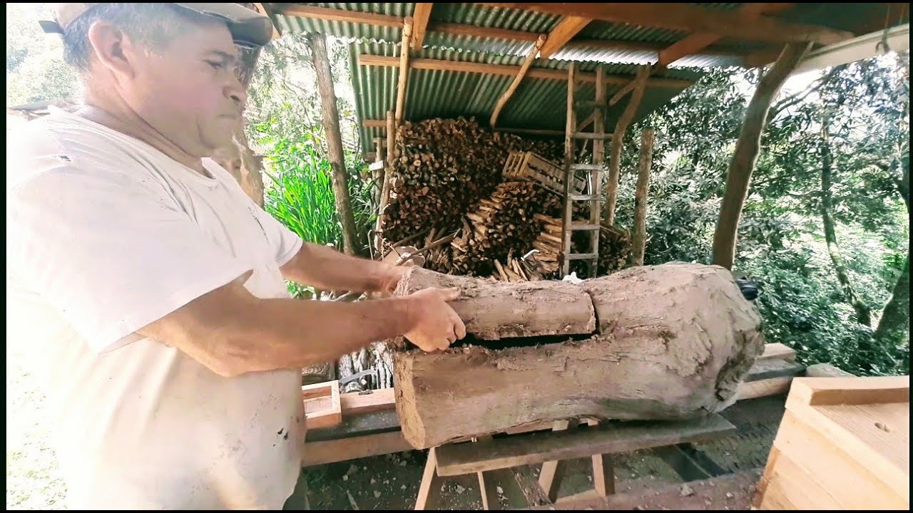 35. Dividir colmena grande es fácil, dice Milo García