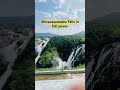 Witness the Power of Shivanasamudra Falls 🌊🔥 #shivanasamudra #travelshorts #ytshorts #waterfall