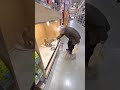 Grandma Saves a Trembling Puppy|震える子犬を助けたおばあちゃん #sora2