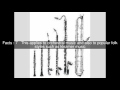 Clarinet Family Top 12 Facts Clarinet Family Top 12 Facts