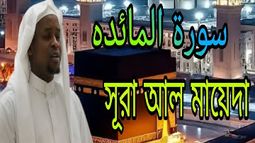 قران الكريم سورة المائده  imamm Faisal Mohammad সুরা আল মায়দা الإمام فيصل محمد#waz11tv 