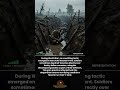 When World War I Soldiers Used Dead Bodies as Trenches