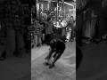 ROBBERY HXC PHILIPPINES #hardcore #moshpits #reelsvideo #shorts #southeastasia #hardcoreworldwide
