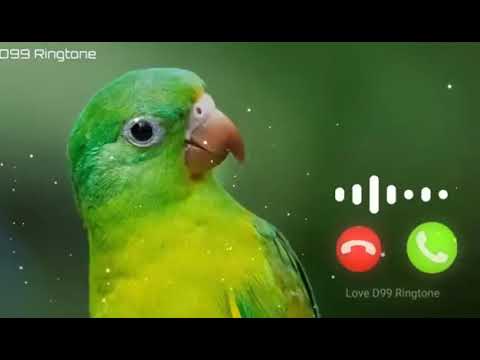 Cute sms message Ringtone  Message Tone  Cute sms Ringtone  Love ringtone  notification tone