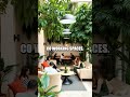 The Cost of Living in Bali for Digital Nomads