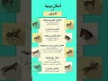 أمثال عربية عن الخيل