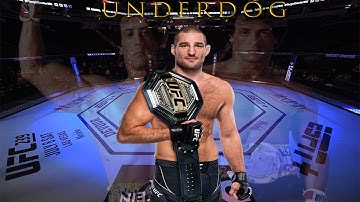 Sean Strickland - Underdog (After Dark - Sweater Weather)