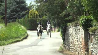 paddy (goodman) hacking round the village with tic tac.