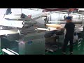 Skywin Cracker Hard Biscuit Production Line