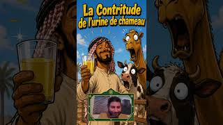 La Contritude de l'Urine de Chameau