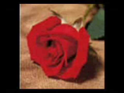 كيمو الانتيمو