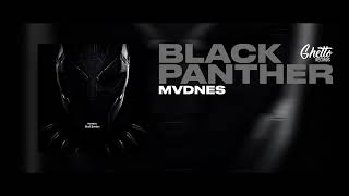 Mvdnes  Black Panther