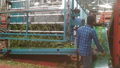 Continuous Chemical Withering Machine #CCW  GD Technologist, Coimbatore, India.+91 9894183868